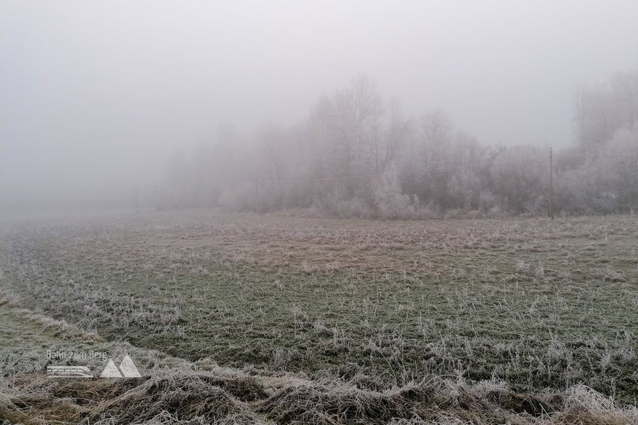 … wollen wir nicht! Foto: Sarah Pallauf