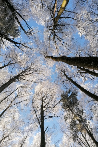 Mein Foto des Jahres: check. Foto: Sarah Pallauf