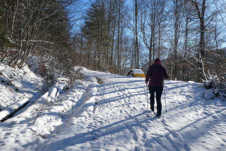 Endlich: Sonne am Himmel und Schnee unter den Füßen. Foto: Karl Plohovich