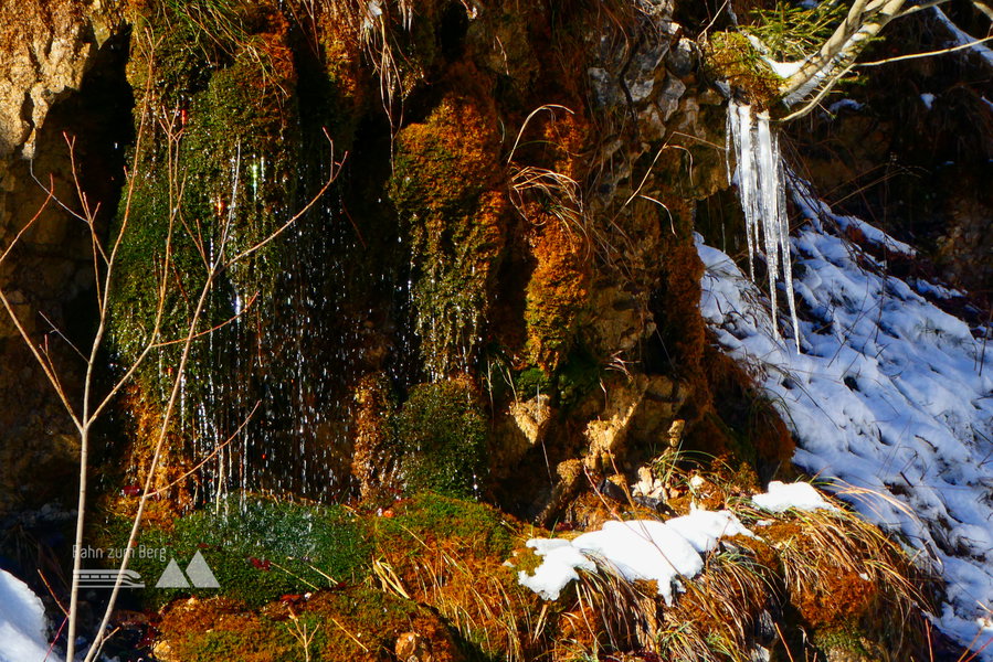 Zauberhaft – Das Spektralfarben-Spiel der Wassertropfen blieb dem Kamera-Auge verborgen. Foto: Karl Plohovich