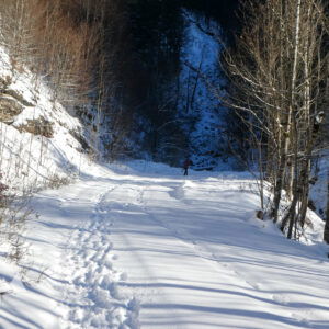 Sonnenspaziergang im Weihnachtsschnee: Hintersee - Lämmerbach