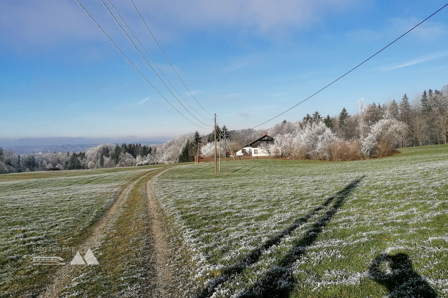 Über schöne Wege… Foto: Sarah Pallauf