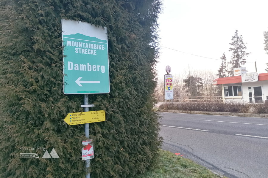 Und ab in den Wald beim Eckhard! Foto: Sarah Pallauf