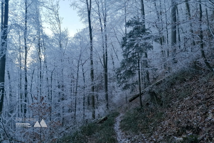 Winterzauberland vom Feinsten. Foto: Sarah Pallauf