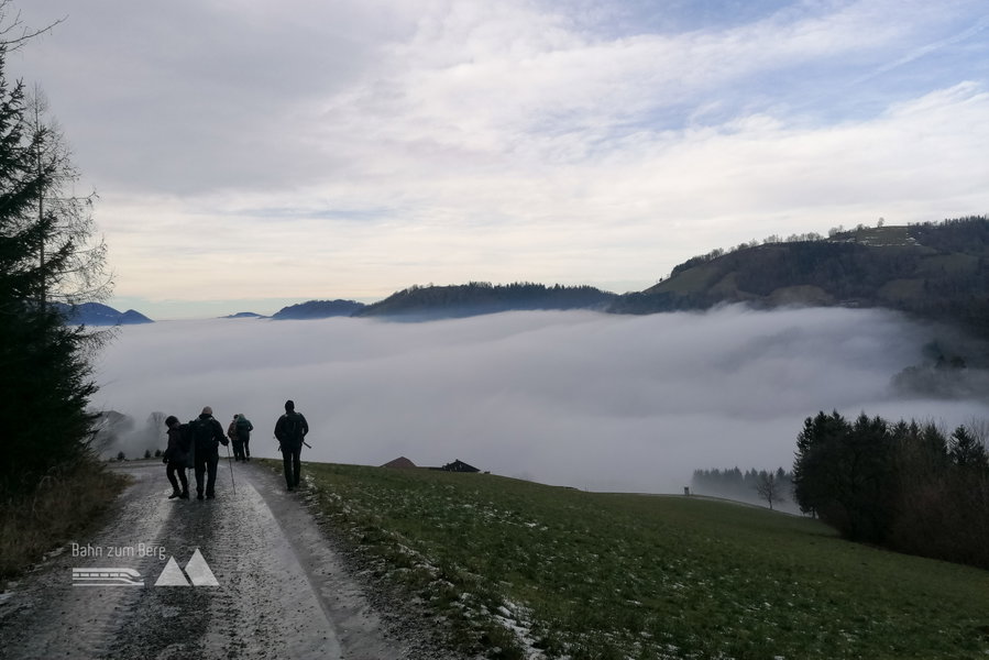 Wir gehen über dem Nebel … Foto: Sarah Pallauf