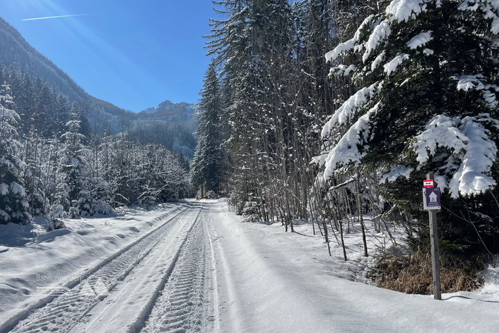 Links halten zum Schafferteich; Der Schnee wird mehr ab dem Schafferteich Parkplatz. Fotos: Eva Maria Ginal