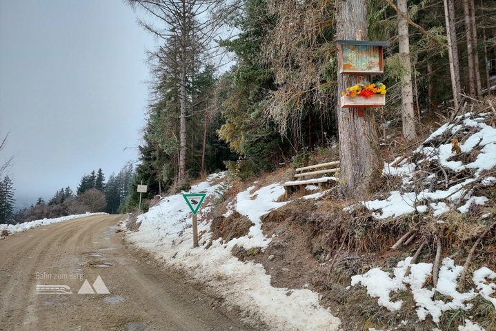 Begleitweg neben der Straße; Beginn Wanderweg, Beginn Grödelpflicht ;) Fotos: Alice Frischherz