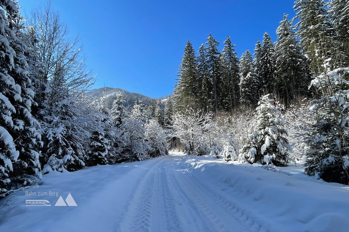 Winterzauber Wald. Fotos: Eva Maria Ginal