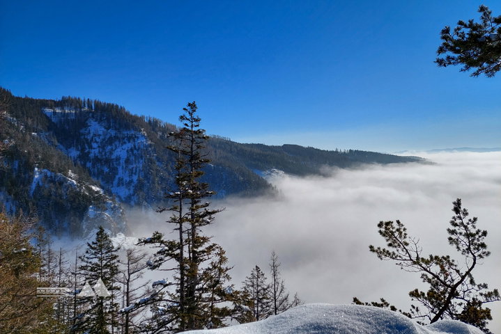 Trattning-Kreuz und Nebelmeer: WOW! Aussicht zum Dahinschmelzen. Fotos: Johanna Frischherz, Alice Frischherz