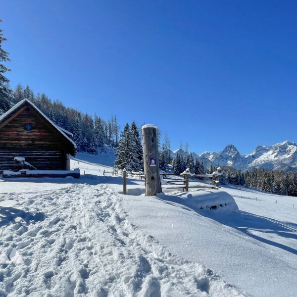 Almhütte Steyrsbergerreith mit traumhafter Aussicht. Fotos: Eva Maria Ginal