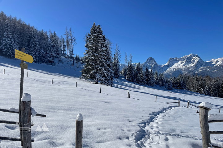 700 Meter Schneestapfen am Wanderweg 31 Richtung Hinterstoder. Fotos: Eva Maria Ginal