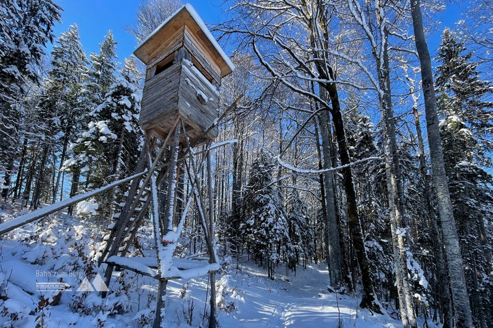 Beim Hochstand endet der stark verschneite Wegabschnitt. Fotos: Eva Maria Ginal