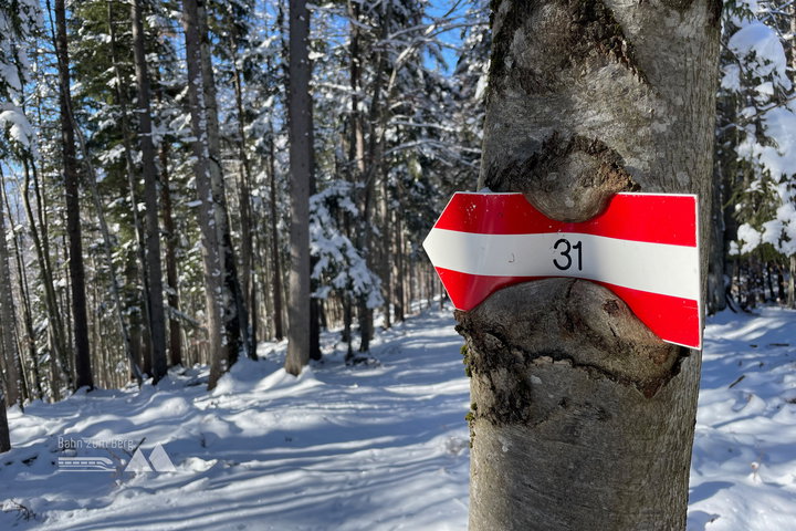 Beim Hochstand endet der stark verschneite Wegabschnitt. Fotos: Eva Maria Ginal