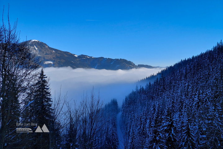 Wir kommen dem Nebel wieder näher, Blick in Richtung Westen – könnte das der Thalerkogel sein? Baba Sonne, danke, dass wir uns oben getroffen haben! Fotos: Alice Frischherz