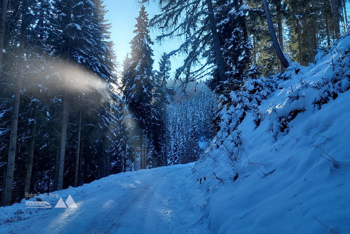 Wir kommen dem Nebel wieder näher, Blick in Richtung Westen – könnte das der Thalerkogel sein? Baba Sonne, danke, dass wir uns oben getroffen haben! Fotos: Alice Frischherz
