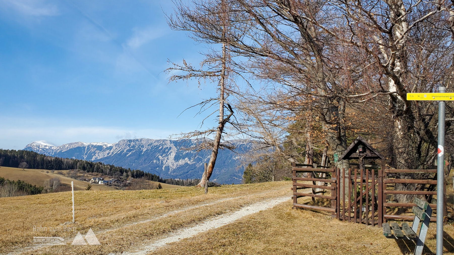Am Ende der Lichtung gibt es einen Blick auf die Rax. Foto: Linda Prähauser