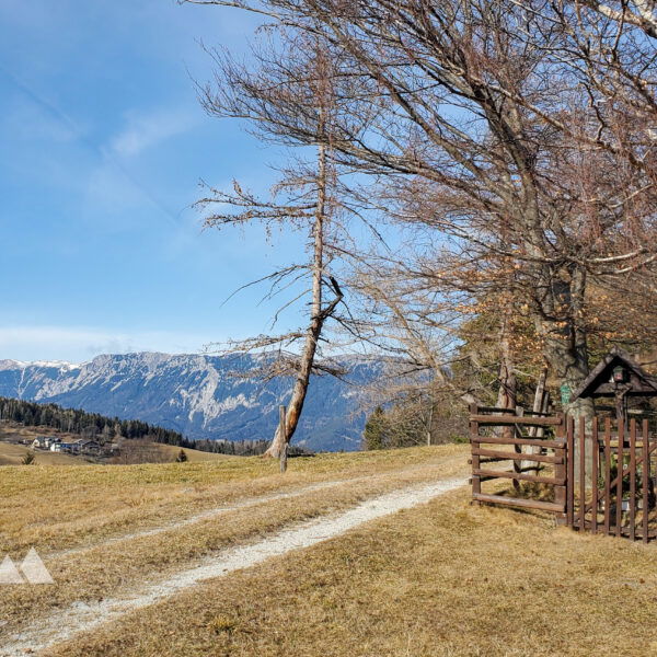 Am Ende der Lichtung gibt es einen Blick auf die Rax. Foto: Linda Prähauser