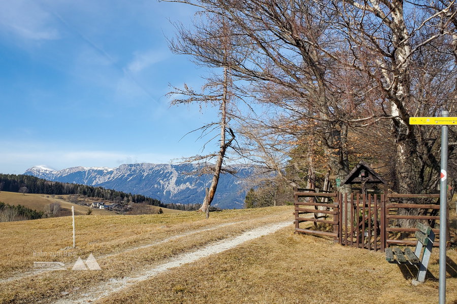 Am Ende der Lichtung gibt es einen Blick auf die Rax. Foto: Linda Prähauser