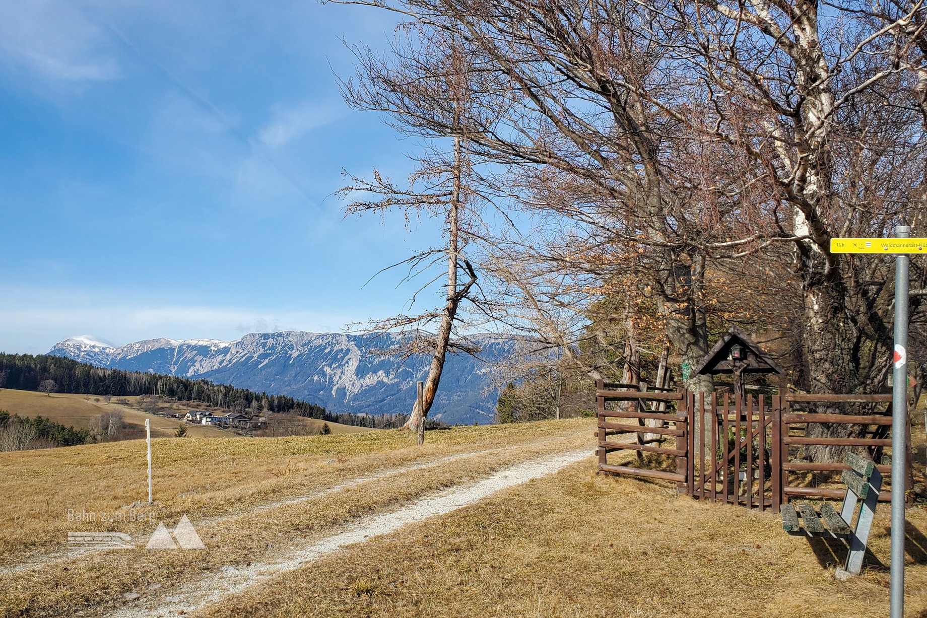 Am Ende der Lichtung gibt es einen Blick auf die Rax. Foto: Linda Prähauser