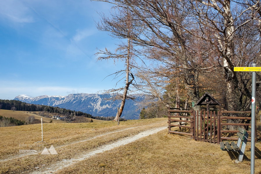 Am Ende der Lichtung gibt es einen Blick auf die Rax. Foto: Linda Prähauser