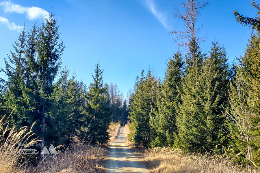 Eindrücke vom Weg Richtung Kreuzberg. Foto: Linda Prähauser
