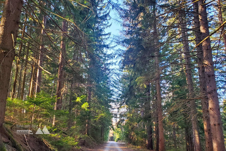 Weitere Eiindrücke vom Weg Richtung Kreuzberg. Foto: Linda Prähauser