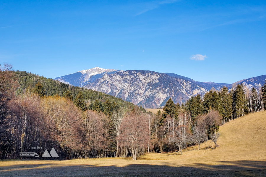 Der Blick von der Straße durch das Feld auf den Schneeberg. Foto: Linda Prähauser
