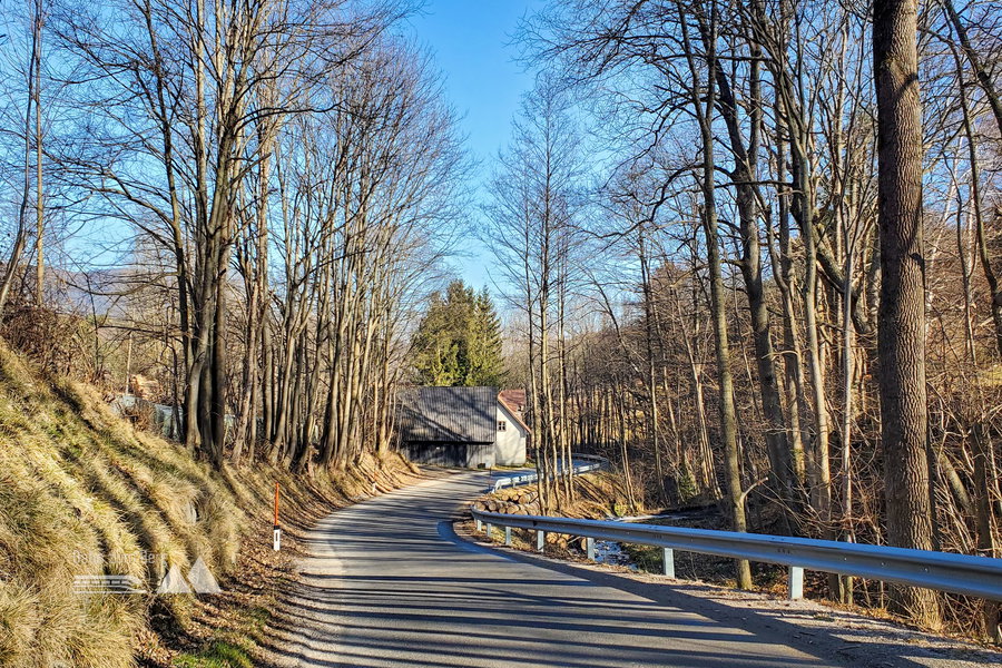 Die ruhige Straße am Weg hinunter zurück zum Bahnhof Payerbach-Reichenau. Foto: Linda Prähauser