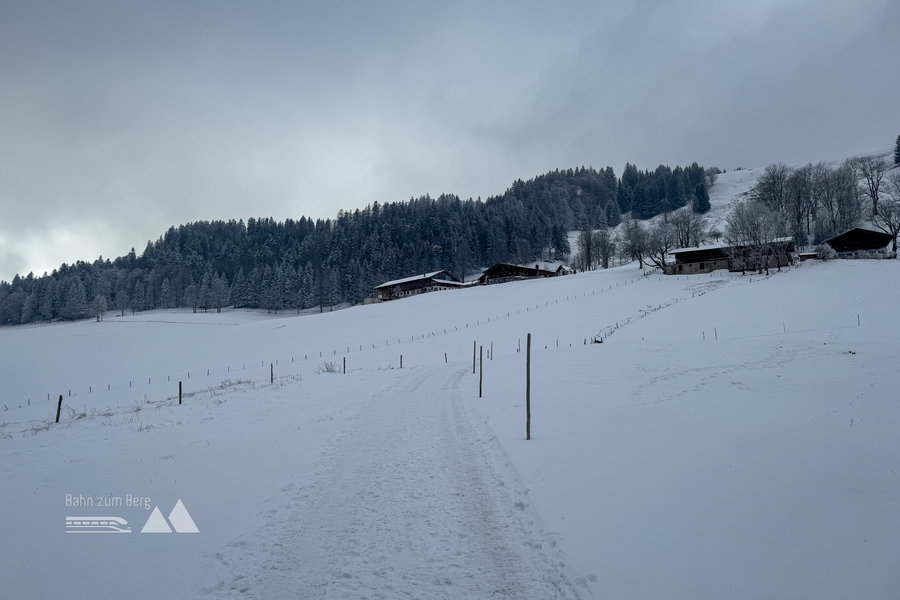 Ziel in Sicht; Foto: Bernhard Walle