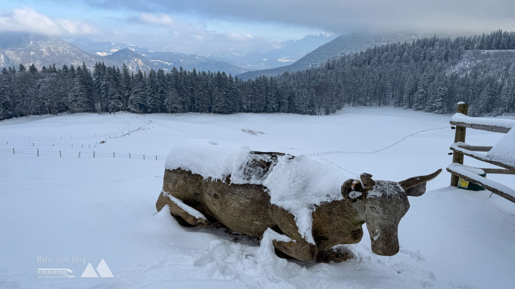 Schneebedeckte Holzkuh; Foto: Bernhard Walle