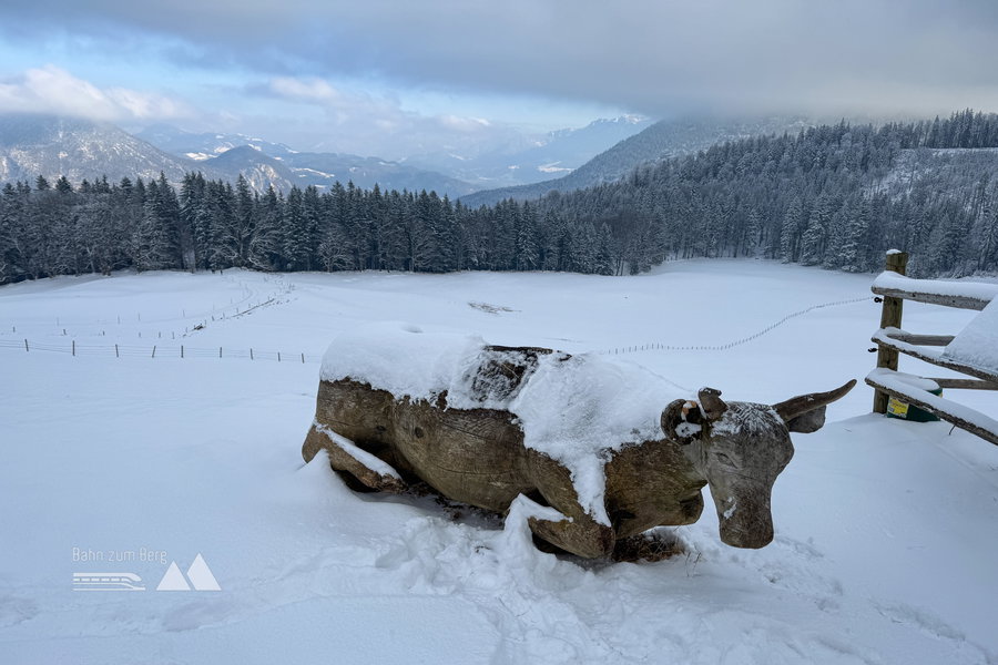 Schneebedeckte Holzkuh; Foto: Bernhard Walle