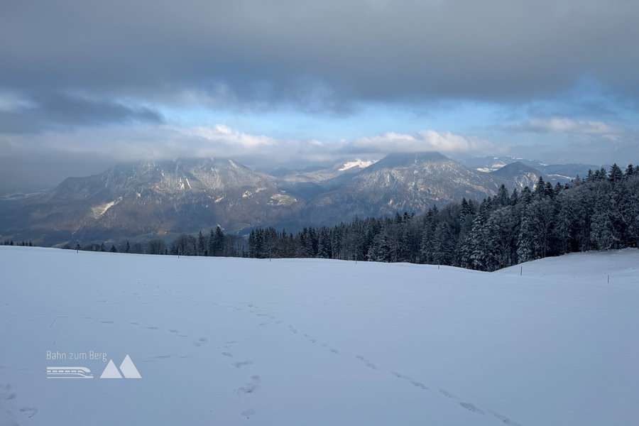 Ausblick; Foto: Bernhard Walle