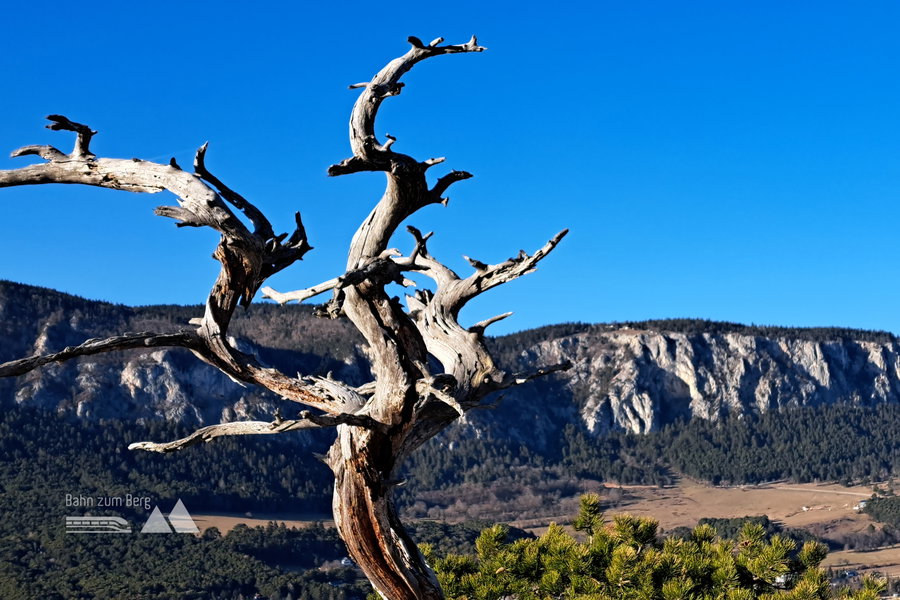 Blick vom Kienberg auf die Hohe Wand. Foto: Gerold Petritsch