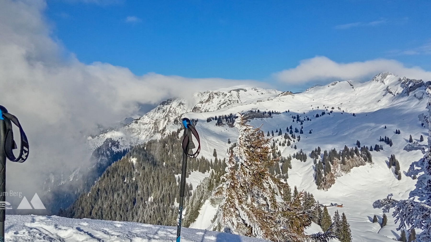 Blick vom Nob zum Hohen Freschen. Foto: Norman und Lisa