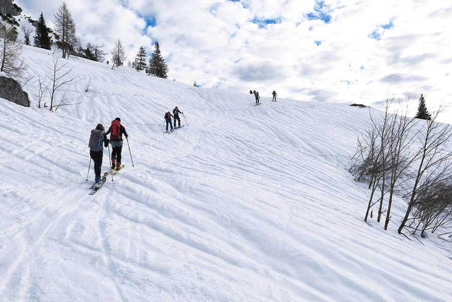 … und nach vorne auf den “Quergang” von der Grabneralm ins Bärenkar. Foto: Anna, POW AT