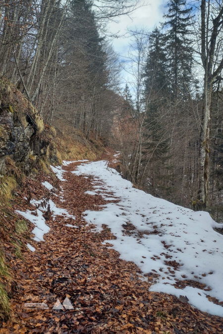 Die „Brücke“ und der Forstweg - orogr. re. Talseite; ohne „Brücke“ bleibt man auf der li. Seite. Fotos: Karl Plohovich