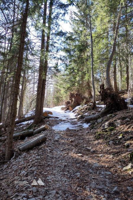 Tiefblick ohne Geländer – bei mehr Schnee und Frost eventuell eine richtige Eistour. Foto: Karl Plohovich