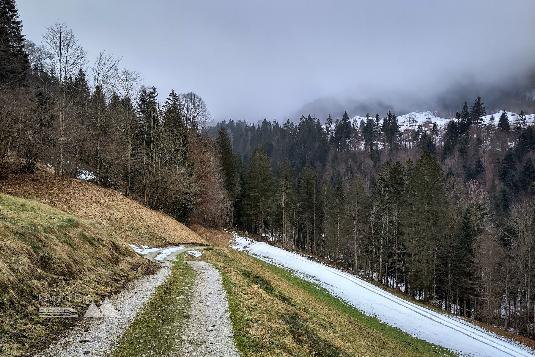 Hinunter in den eisigen Talboden des Mirchtlbachs. Foto: Karl Plohovich