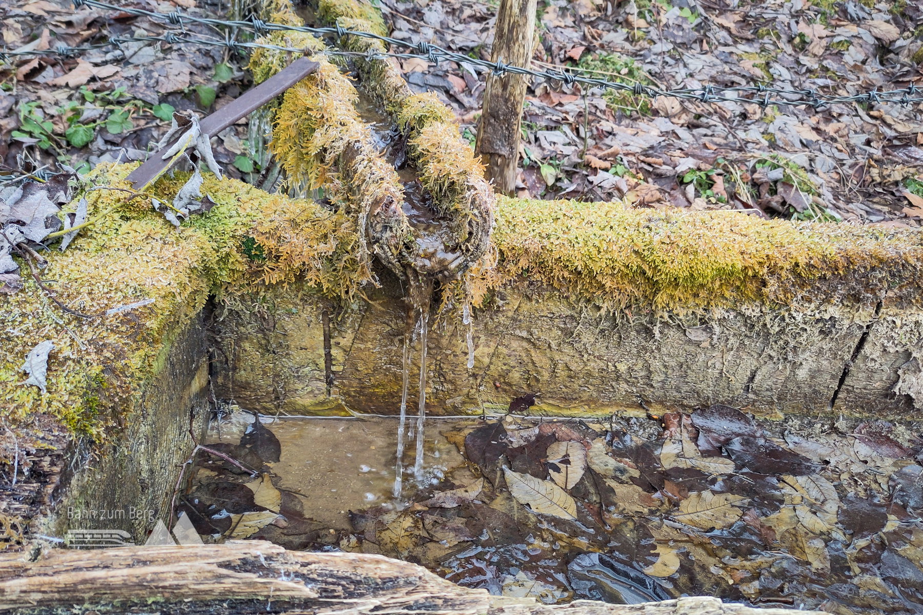 Dem vermoosten Zulauf tröpfelt die Nase – wie dem alten Mann, der vorbei geht… Foto: Karl Plohovich
