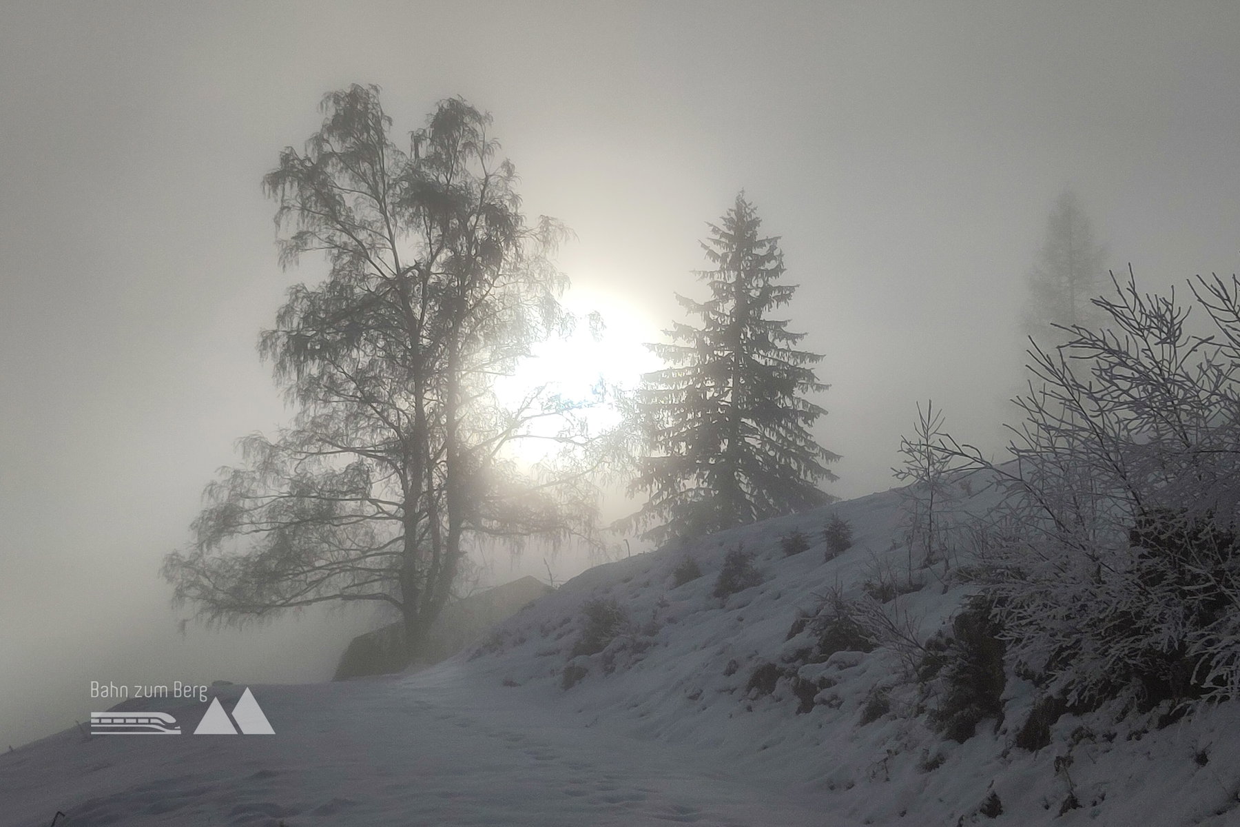 Für solche Momente lohnte es auch, mehr als eine Stunde unterm Hochnebel zu gehen. Foto: Karl Plohovich
