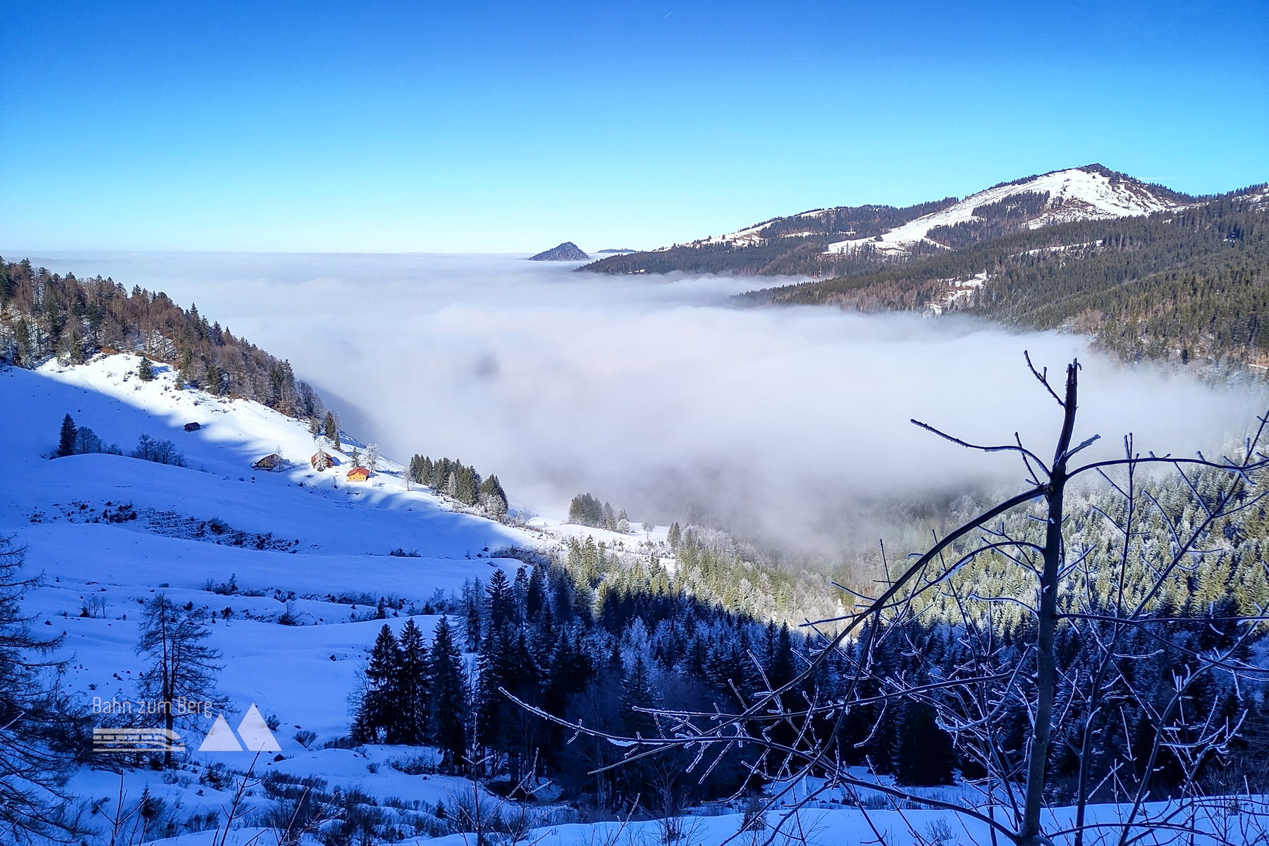 Zisterbergalm - Wieserhörndl. Foto: Karl Plohovich