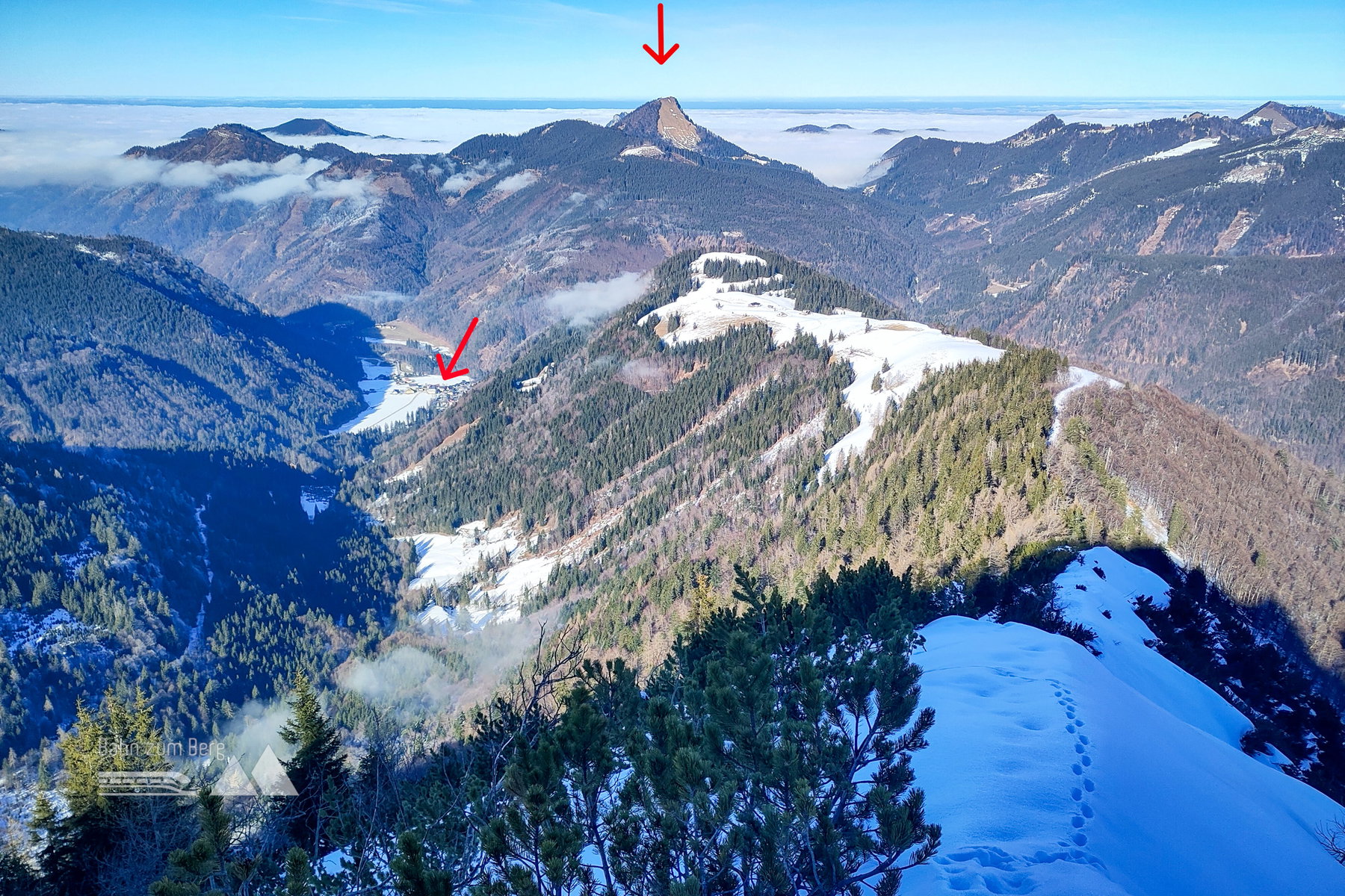 Feichtensteinalm, Hintersee; Faistenauer Schafberg; Weg in Zusammenarbeit Tier-Mensch. Foto: Karl Plohovich