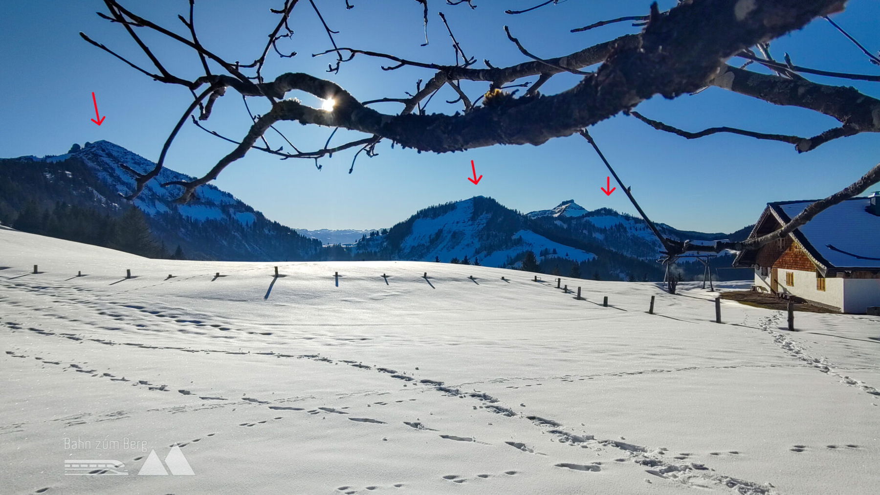 Foto: Karl Plohovich