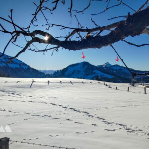 Foto: Karl Plohovich