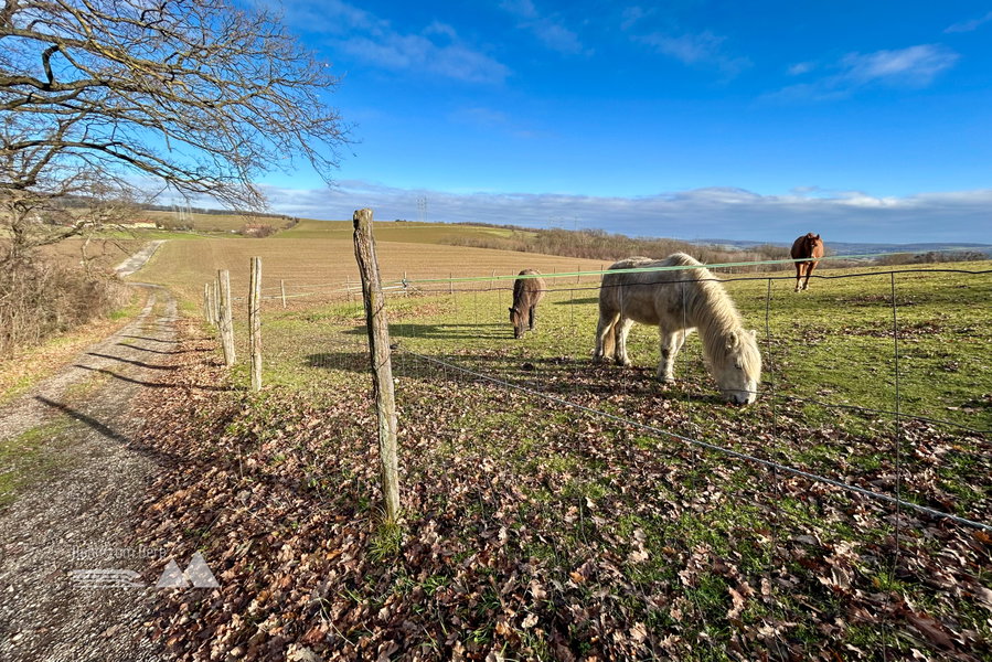 Zwischen Kreuzenstein und Schöner Aussicht. Foto Veronika Schöll
