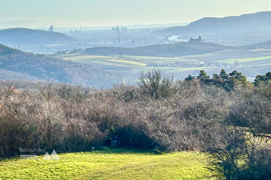 Ein bisschen heranzoomen den tollen Blick nach Wien. Foto Veronika Schöll