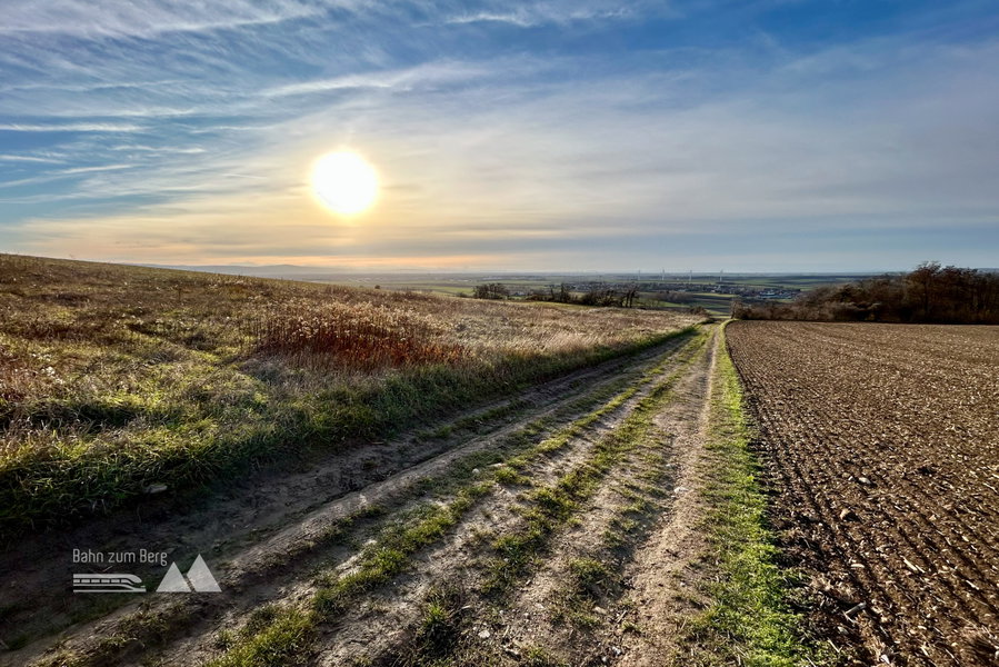 Abstieg nach Leitzersdorf. Foto Veronika Schöll