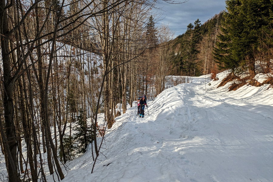 An dieser Stelle erfolgt der Aufstieg dem Wanderweg entlang durch den Wald, für die Abfahrt ist die Forststraße aber die bessere Option (rechts im Bild). Foto: Anna, POW AT