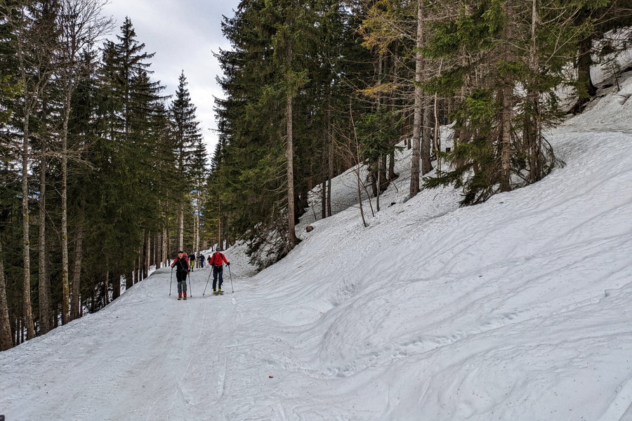 Die Forststraßen eignen sich gut zum Tratschen, denn hier ist genug Platz, um nebeneinander gehend aufzusteigen. Foto: Anna, POW AT