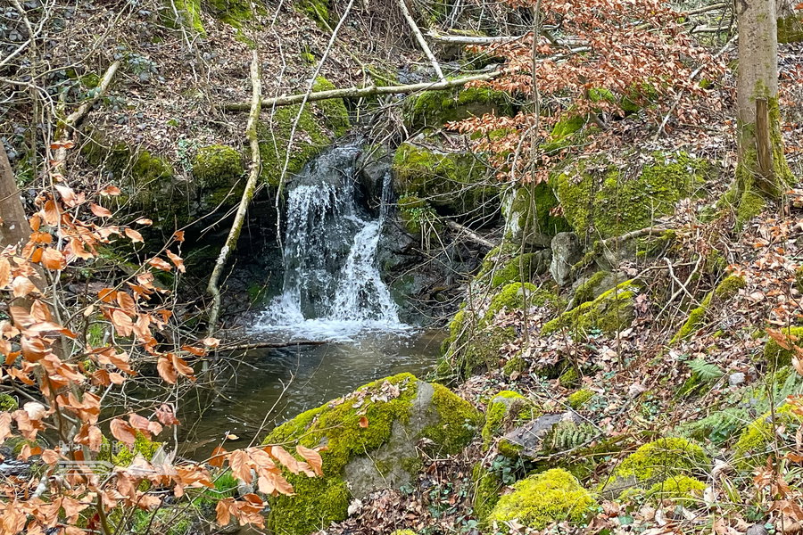 Sagbach. Foto: Eva Maria Ginal